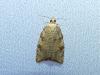 304891 – Photo : Denis Bucaille – France (60)